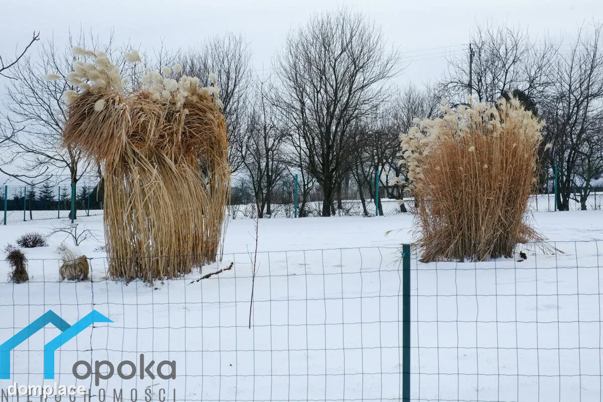 Działka — cieszyński, Cieszyn — zdjęcie 14
