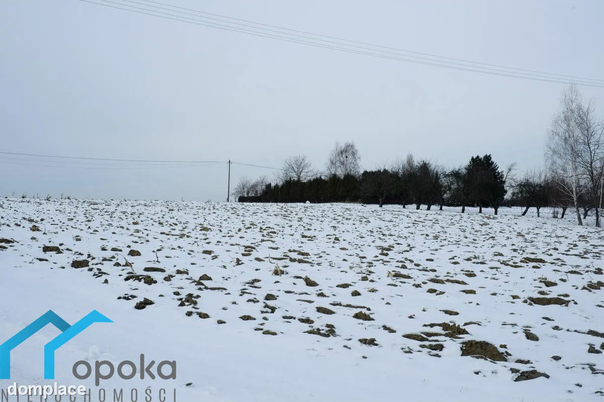 Działka — cieszyński, Cieszyn — zdjęcie 3