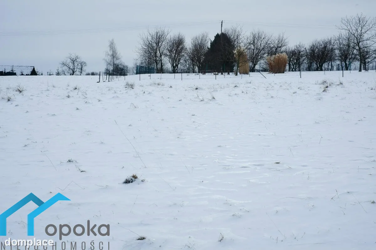 Działka — cieszyński, Cieszyn — zdjęcie 4