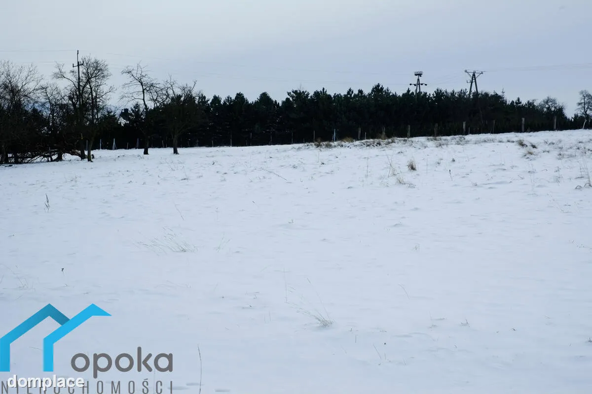 Działka — cieszyński, Cieszyn — zdjęcie 6