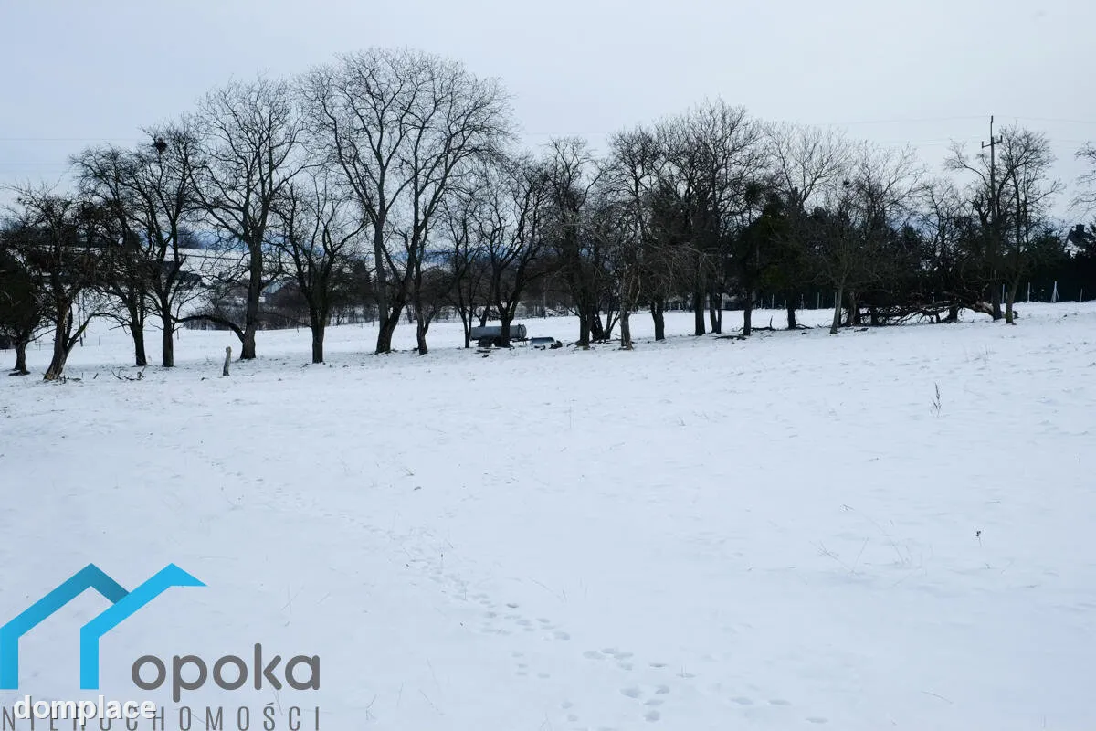 Działka — cieszyński, Cieszyn — zdjęcie 7