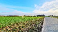 Działka — wrocławski, Kobierzyce — zdjęcie 1