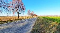 Działka — wrocławski, Kobierzyce — zdjęcie 2