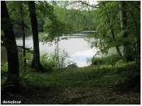 Działka — bytowski, Miastko — zdjęcie 6