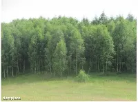 Działka — bytowski, Miastko — zdjęcie 8