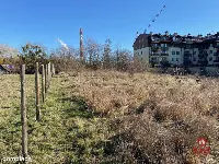 Działka w Augustowie. — zdjęcie 4