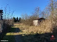Działka w Augustowie. — zdjęcie 6