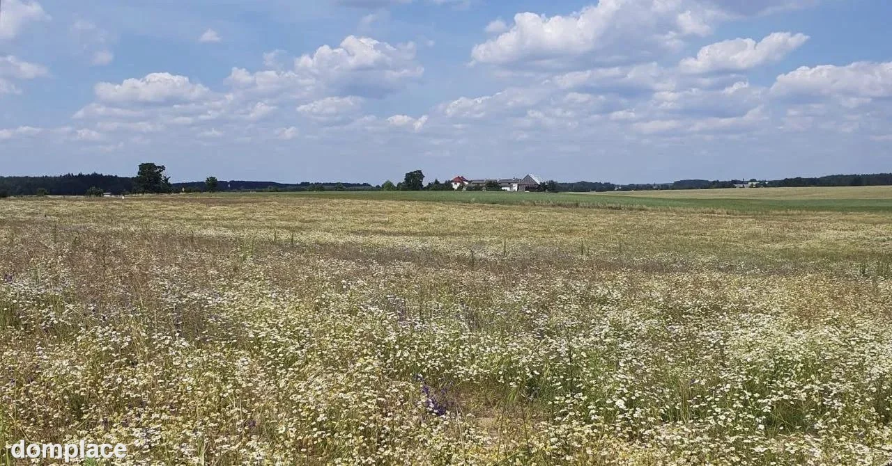 Działka — tucholski, Lubiewo — zdjęcie 9