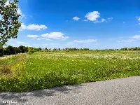Działka — elbląski, Elbląg — zdjęcie 2