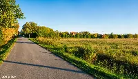 Działka — elbląski, Elbląg — zdjęcie 4