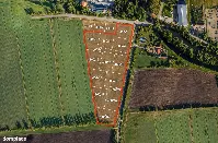 Działka — elbląski, Elbląg — zdjęcie 6