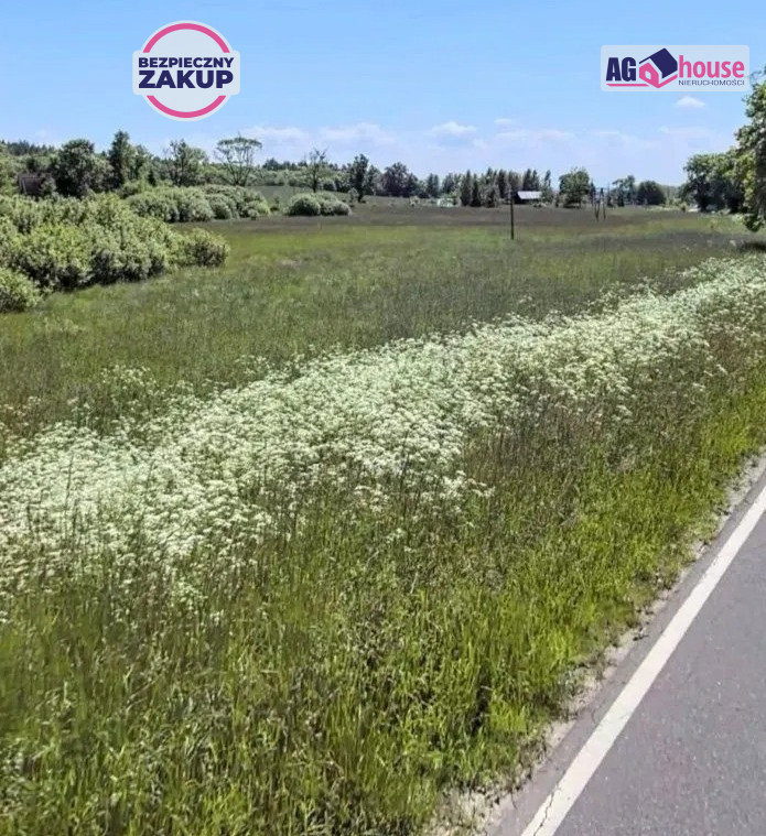 Okazja! Działka 3,3 ha niedaleko  nadmorskiej Łeby