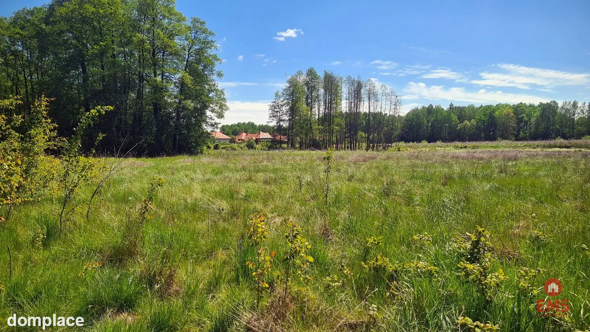 Zaścianki, działka deweloperska — zdjęcie 3