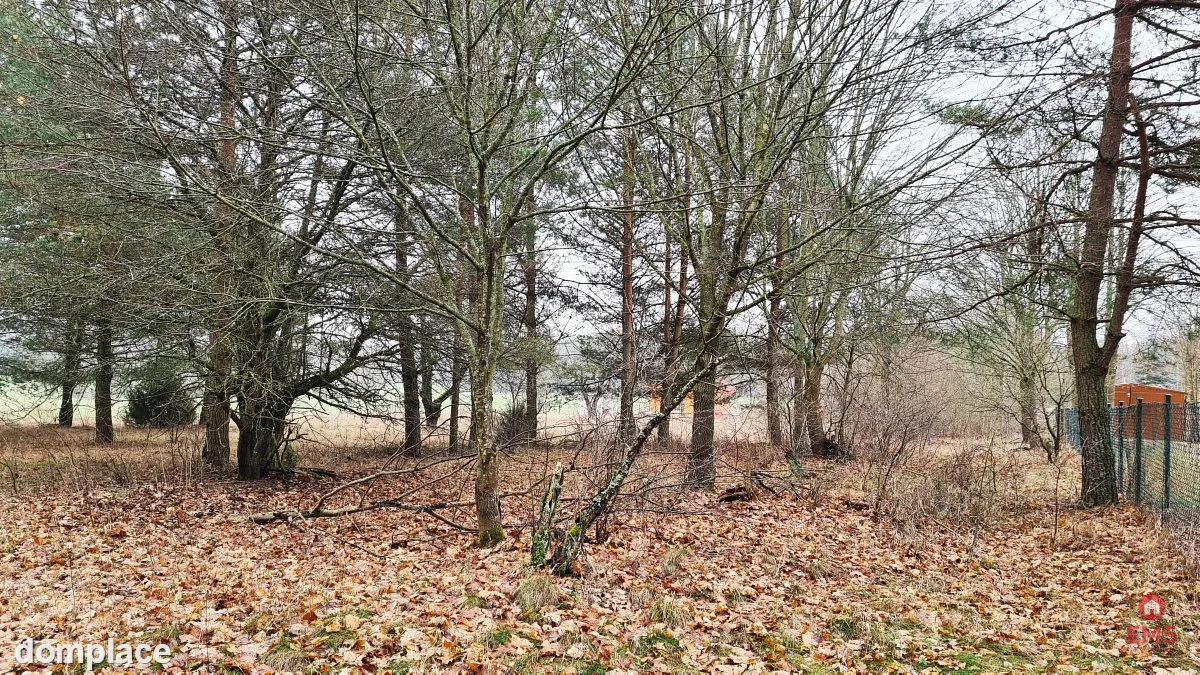 Działka 1900 m2. Pieńki — zdjęcie 10