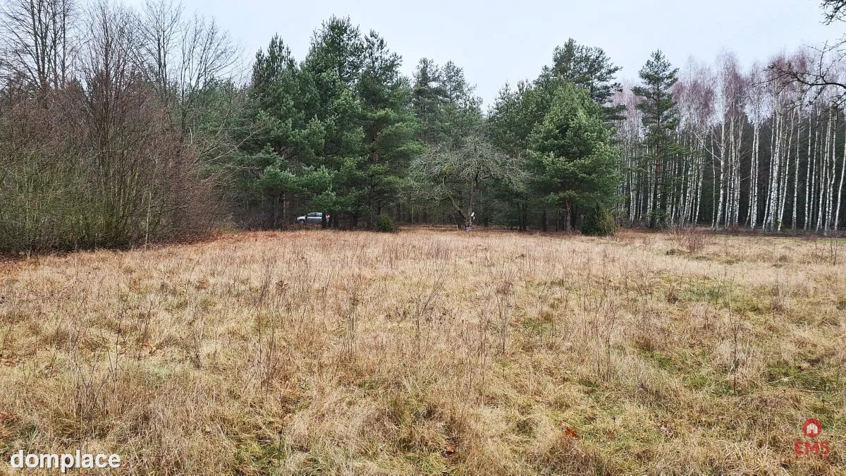Działka 1900 m2. Pieńki — zdjęcie 8