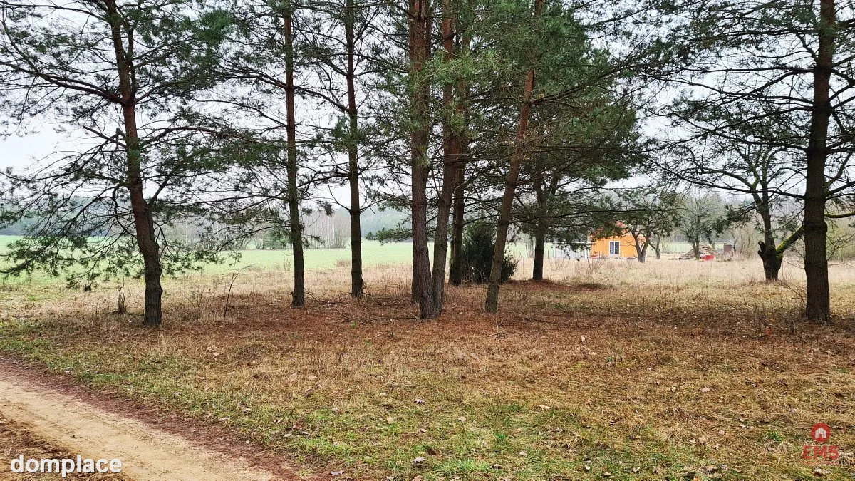 Działka 1900 m2. Pieńki — zdjęcie 7