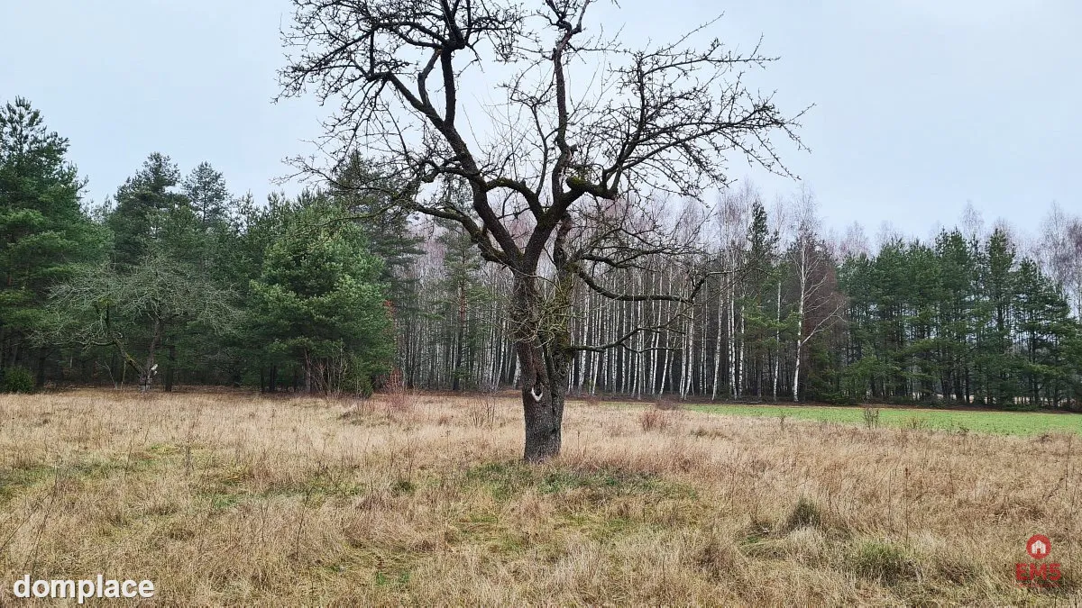 Działka 1900 m2. Pieńki — zdjęcie 5