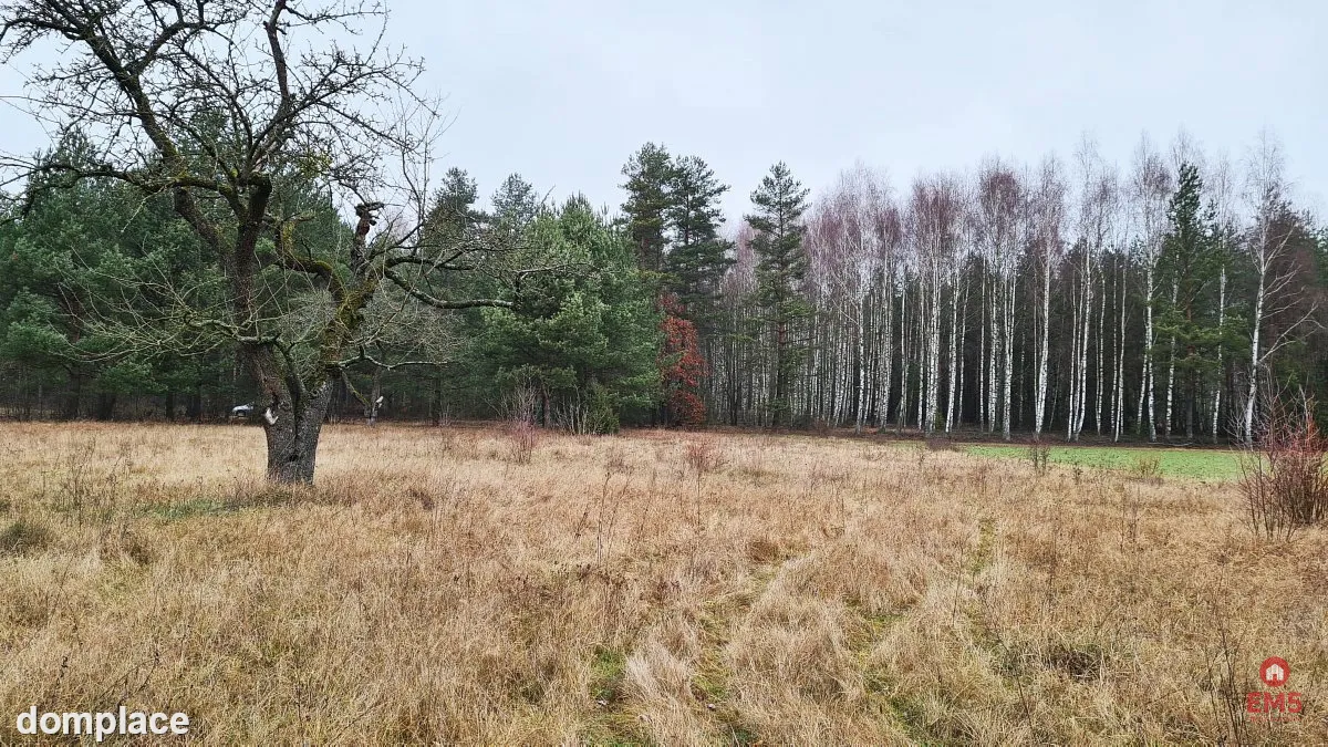 Działka 1900 m2. Pieńki — zdjęcie 4