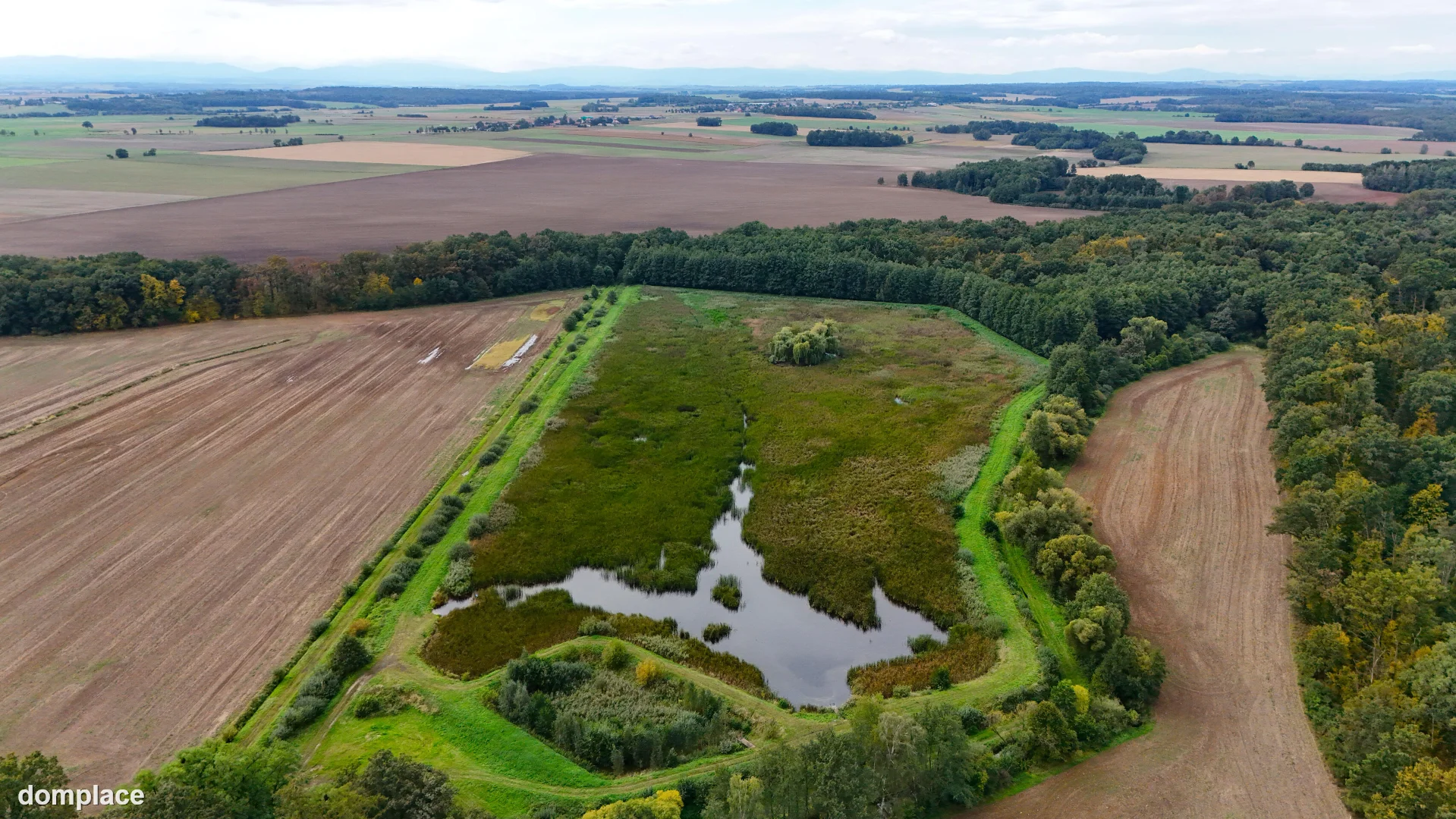 Działka — nyski, Skoroszyce — zdjęcie 4