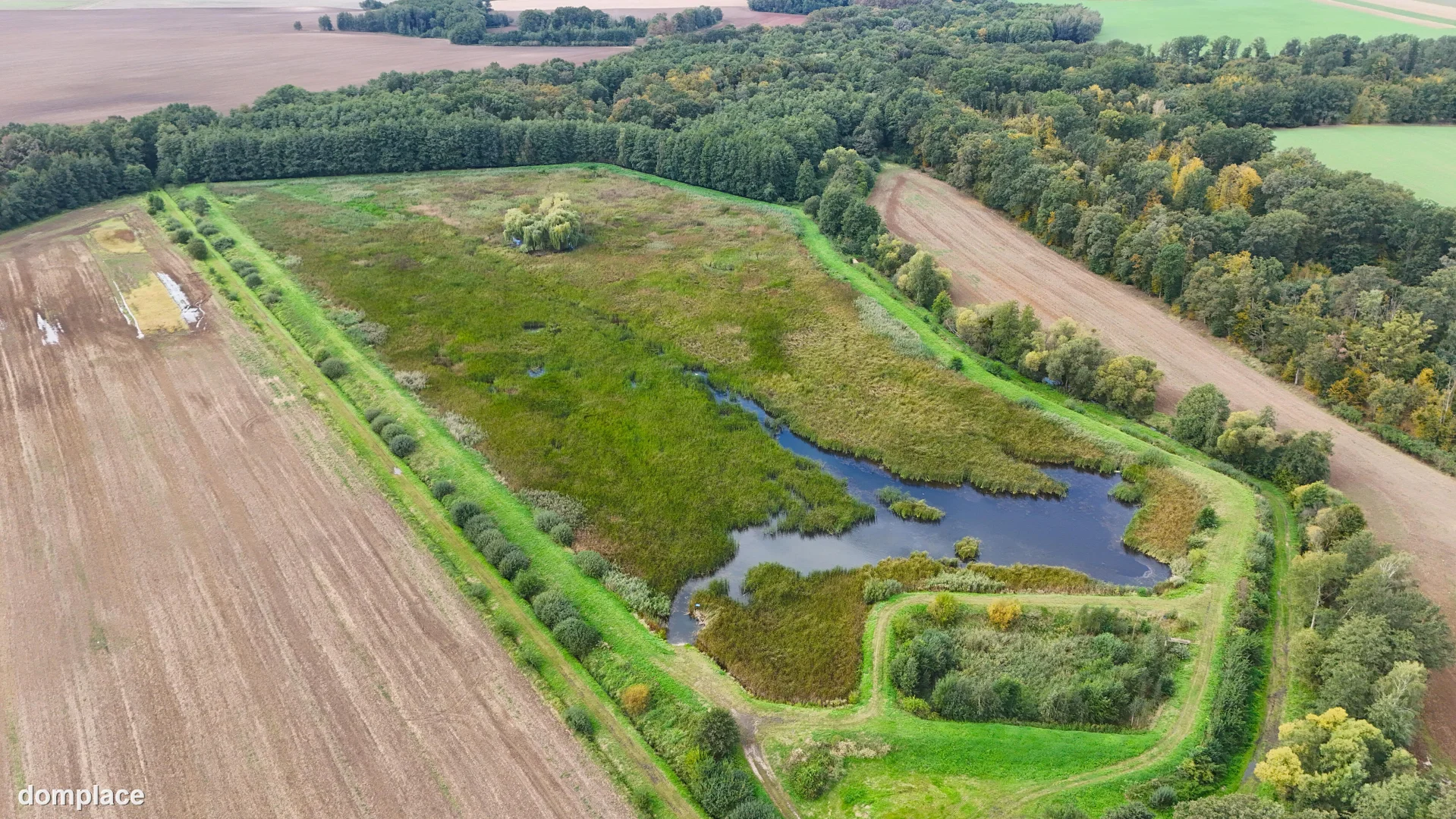 Działka — nyski, Skoroszyce — zdjęcie 5