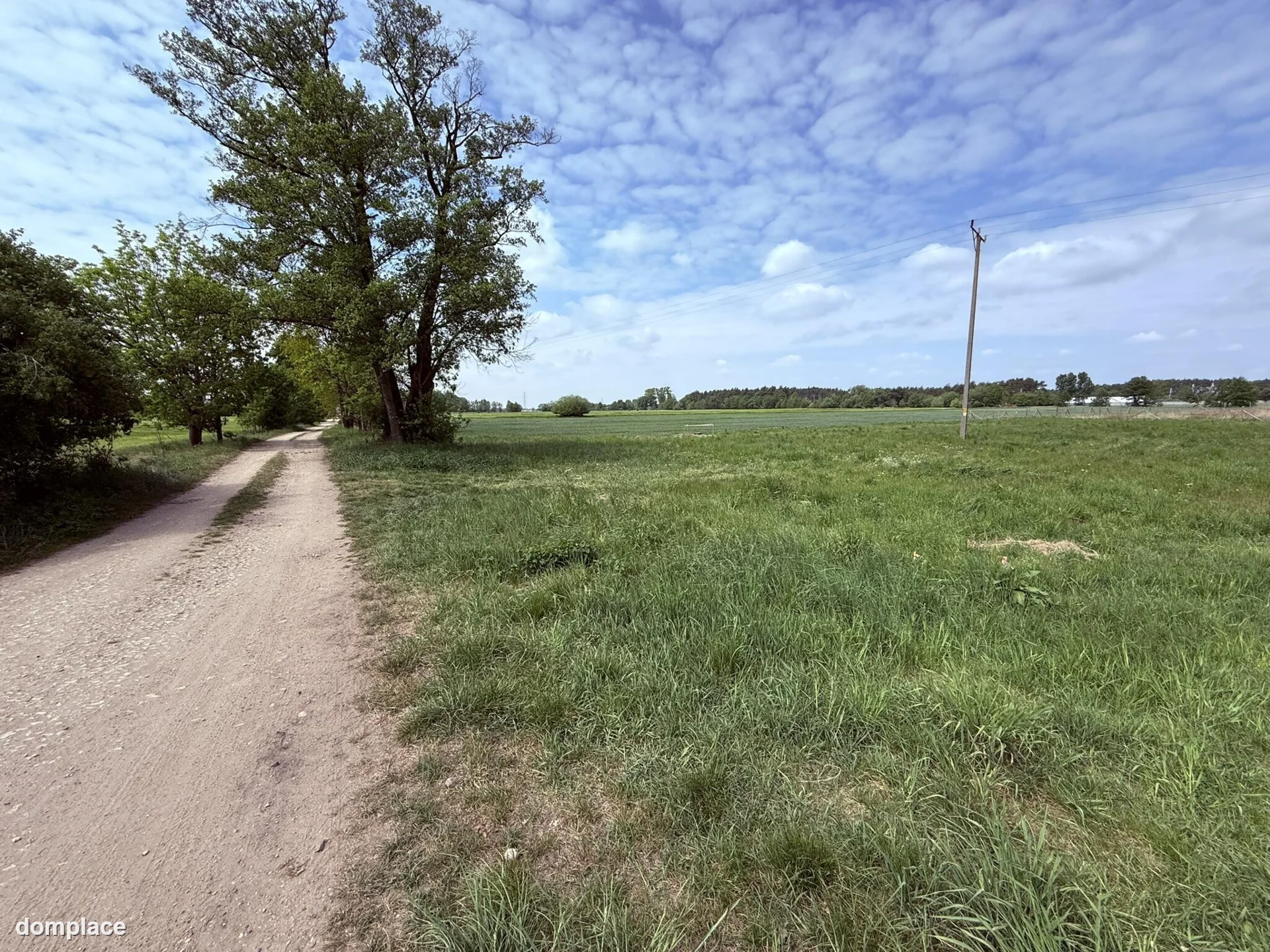 Działka — opolski, Turawa — zdjęcie 2