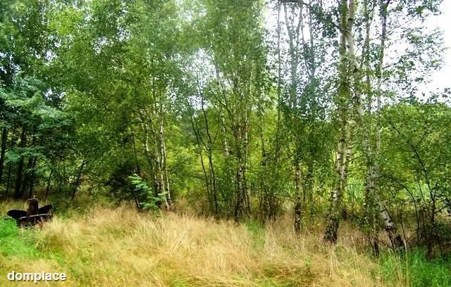 Zainwestuj na obszarze Natura 2000 Puszcza Notecka — zdjęcie 3