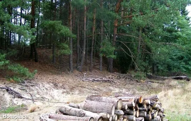 Zainwestuj na obszarze Natura 2000 Puszcza Notecka — zdjęcie 5