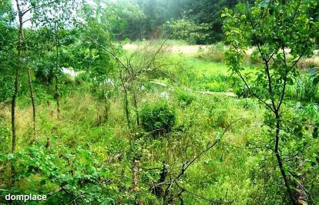 Zainwestuj na obszarze Natura 2000 Puszcza Notecka — zdjęcie 6