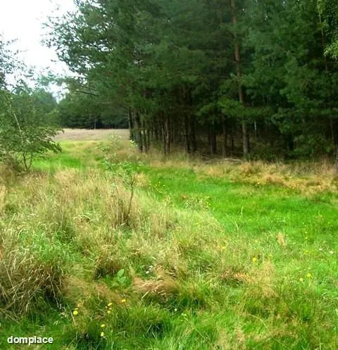 Zainwestuj na obszarze Natura 2000 Puszcza Notecka — zdjęcie 4
