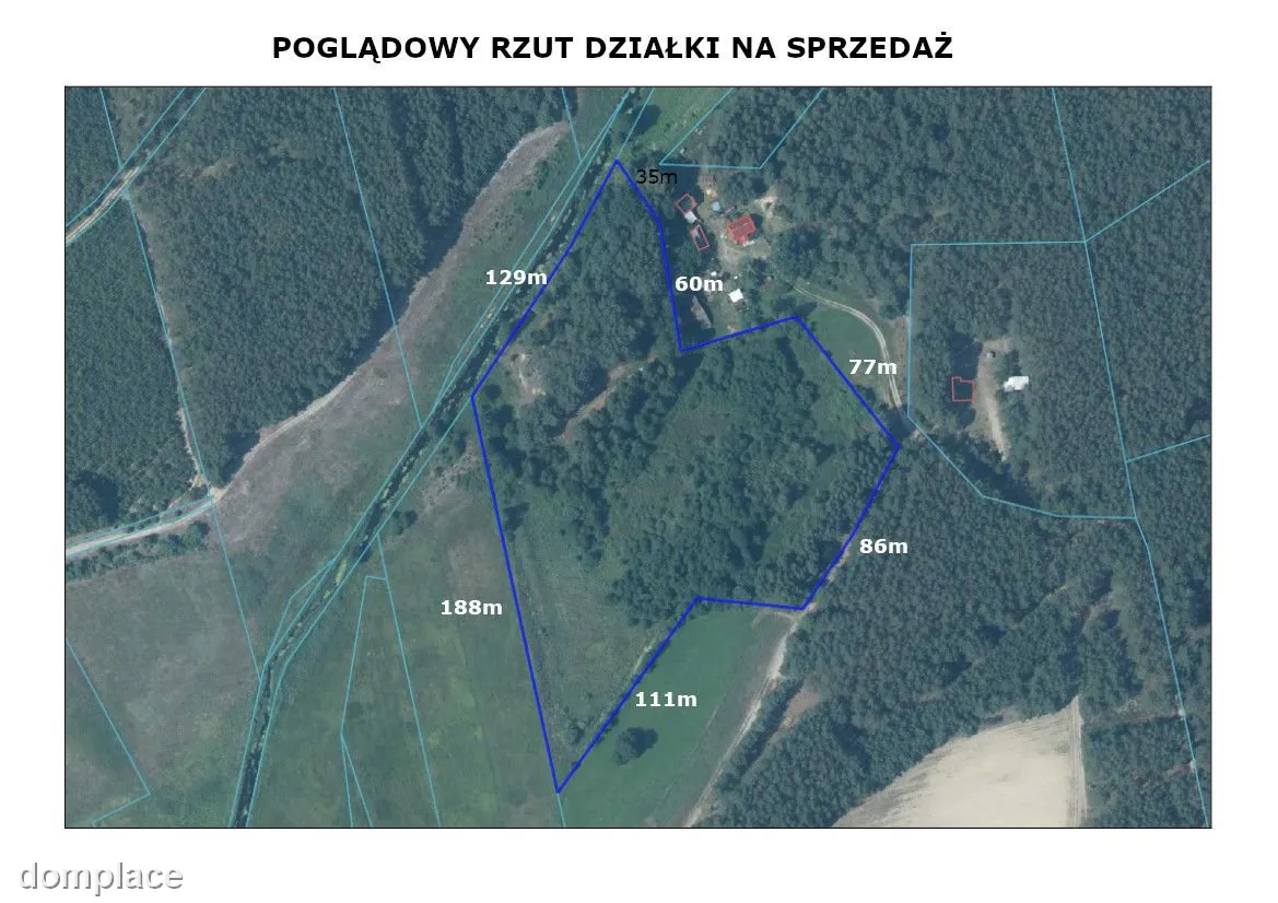 Zainwestuj na obszarze Natura 2000 Puszcza Notecka — zdjęcie 2