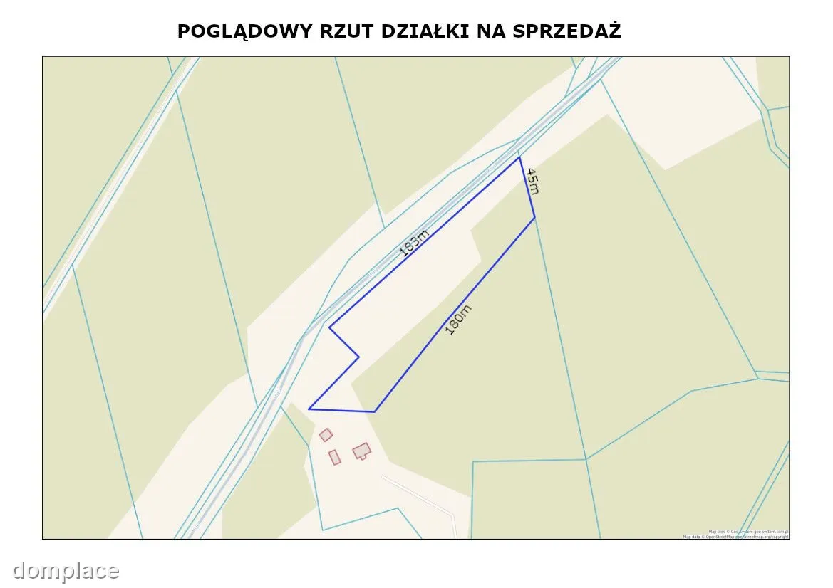 Rola w Puszczy Noteckiej.