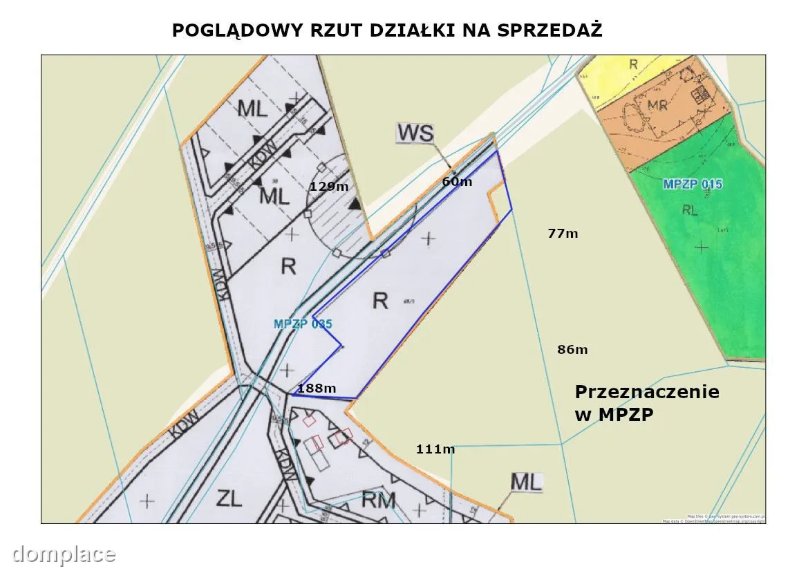 Rola w Puszczy Noteckiej. — zdjęcie 2