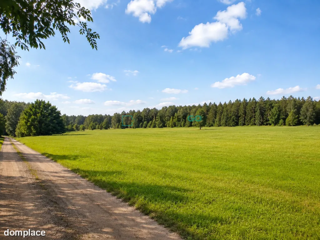 900 m2 budowlana, widok na las