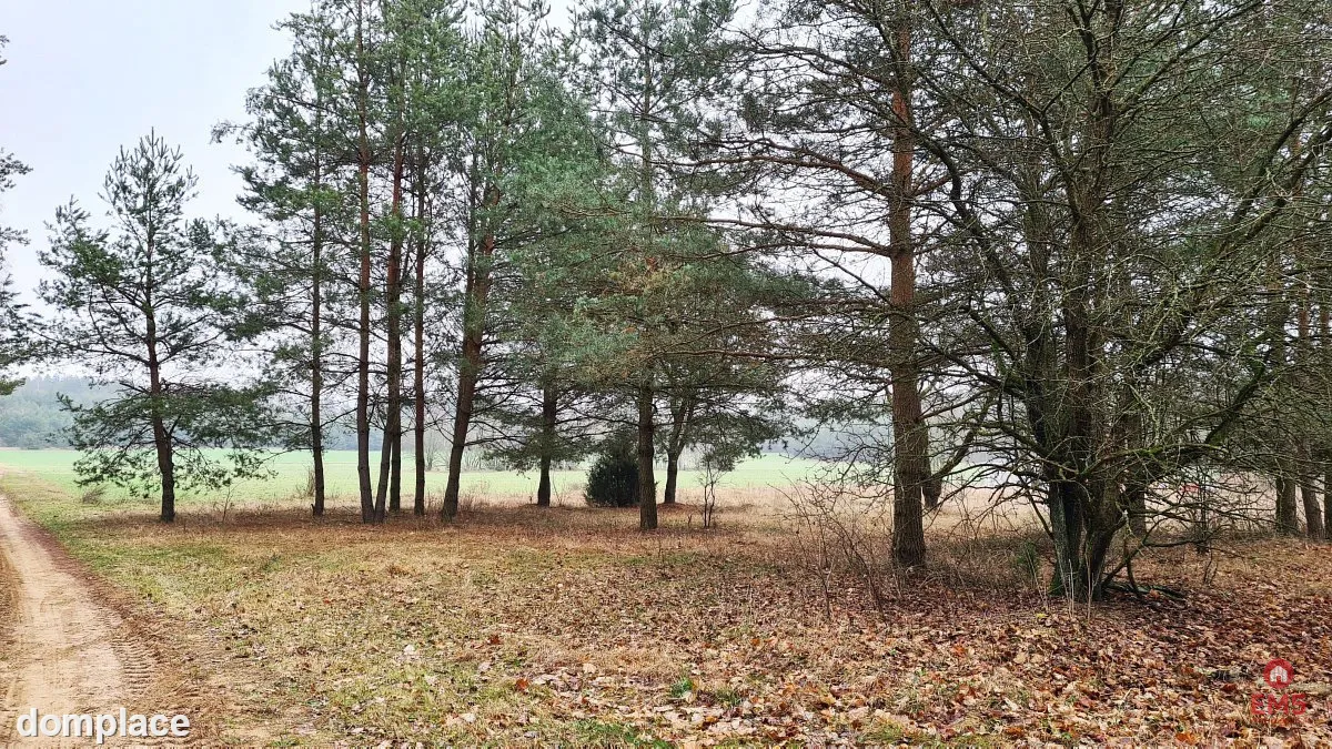 Działka 1743 m2, Pieńki — zdjęcie 11