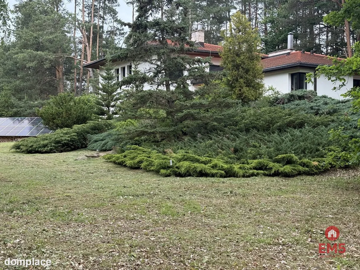 Dom w otulinie lasu blisko miasta — zdjęcie 4