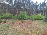 Nowy dom 95,6 m2 + garaż – Władysławowo — zdjęcie 31