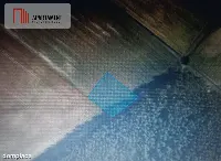 Piękna spokojna okolica ze ścianą lasu!!! — zdjęcie 2