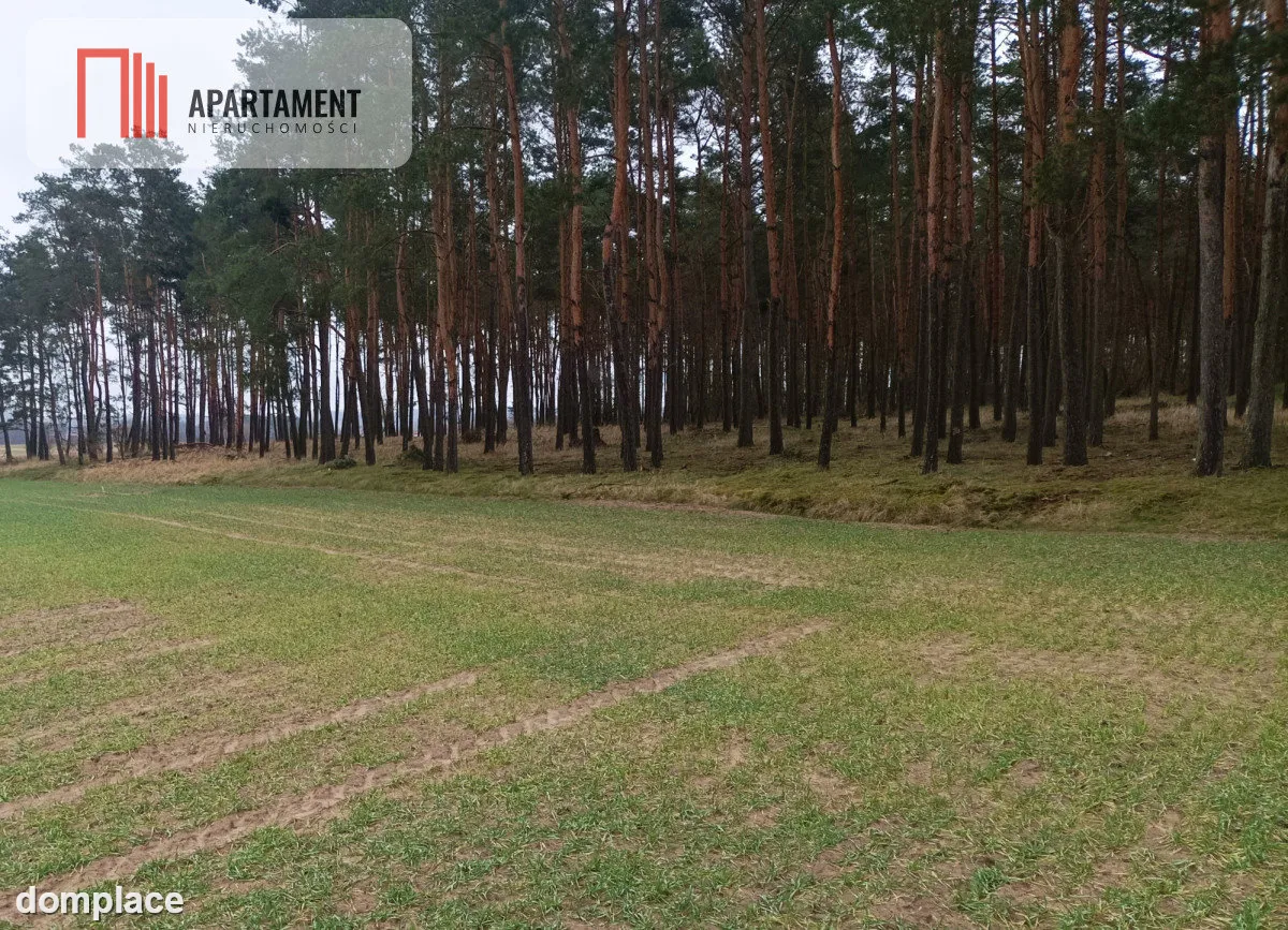 Piękna spokojna okolica ze ścianą lasu!!! — zdjęcie 3