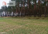 Piękna spokojna okolica ze ścianą lasu!!! — zdjęcie 3