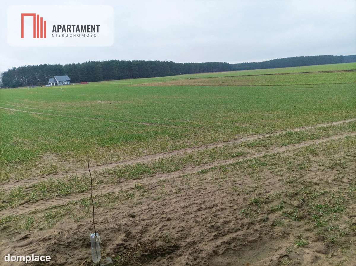 Piękna spokojna okolica ze ścianą lasu!!! — zdjęcie 4