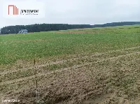 Piękna spokojna okolica ze ścianą lasu!!! — zdjęcie 4