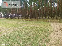 Piękna spokojna okolica ze ścianą lasu!!! — zdjęcie 1