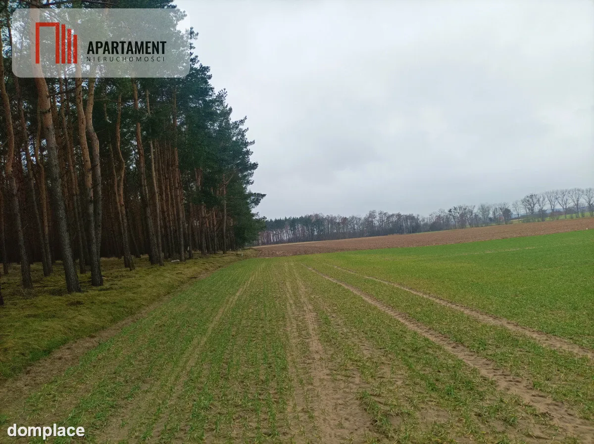 Piękna spokojna okolica ze ścianą lasu!!! — zdjęcie 5