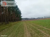 Piękna spokojna okolica ze ścianą lasu!!! — zdjęcie 5