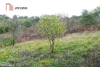 OFERTA TYLKO DLA KONESERA, PRESTIŻ w mieście! — zdjęcie 4