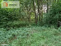 Duża działka przy lesie bez sąsiedztwa — zdjęcie 8