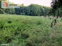 Duża działka przy lesie bez sąsiedztwa — zdjęcie 5