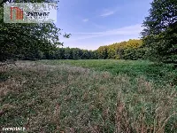 Duża działka przy lesie bez sąsiedztwa — zdjęcie 2