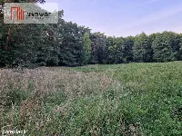 Duża działka przy lesie bez sąsiedztwa — zdjęcie 4