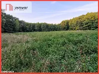Duża działka przy lesie bez sąsiedztwa — zdjęcie 1